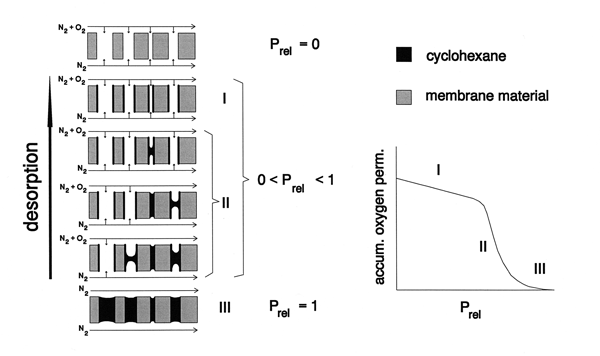 Permporometrie schematisch principe